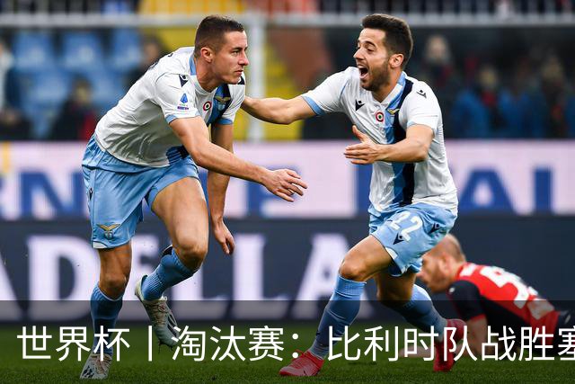 世界杯丨淘汰赛：比利时队战胜塞内加尔队