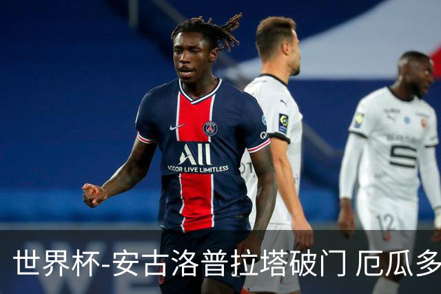 世界杯-安古洛普拉塔破门 厄瓜多尔2-1逆转德国出线